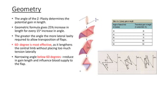 Basic Principles of Flap | PDF