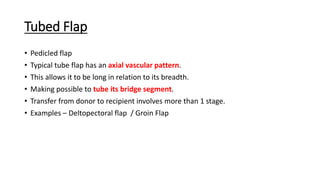 Basic Principles of Flap | PDF