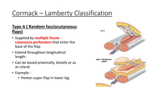 Basic Principles of Flap | PDF