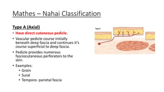 Basic Principles of Flap | PDF