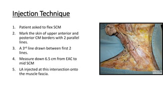 Intersection Injection Local anaesthesia and facial block | PDF