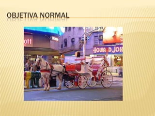 OBJETIVA NORMAL
 