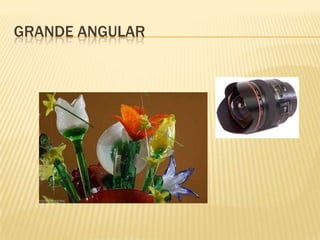 GRANDE ANGULAR
 
