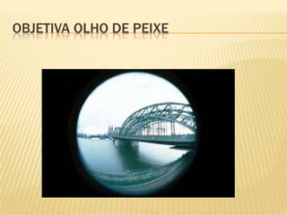 OBJETIVA OLHO DE PEIXE

 