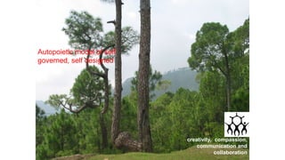 creativity, compassion, communication and collaboration
anil
Honey Bee Network
www.Sristi.org/anilg anilg@sristi.org
anilgb@gmail.com
www.nifindia.org
Techpedia.in
Autopoietic model of self
governed, self designed
creativity, compassion,
communication and
collaboration
 