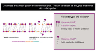 CME Slides - Ceravis.pptx