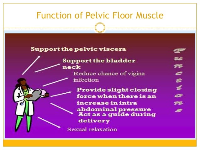 Woman Health-Incontinence&Pelvic Organ Prolapse