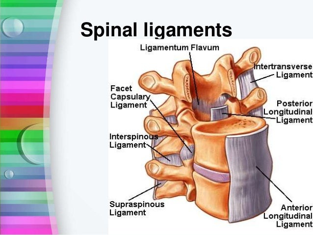 spinal cord injury management- neuro nurses perspective
