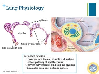 +Lung Physiology
Surfactant function:
•  Lower surface tension at air liquid surface
•  Protect patency of small airways
•  Prevent movement of fluid into the alveolus
•  Stimulates lung host defence system
dr. Aldika Akbar SpOG
 
