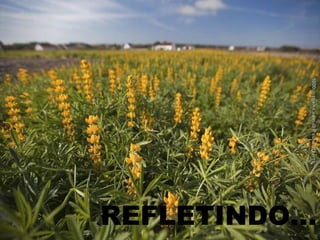 REFLETINDO... 