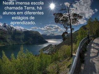 Nesta imensa escola chamada Terra, há alunos em diferentes estágios de aprendizado. 
