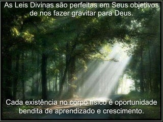 As Leis Divinas são perfeitas em Seus objetivos de nos fazer gravitar para Deus. Cada existência no corpo físico é oportunidade bendita de aprendizado e crescimento. 