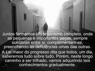 Juntos formamos um organismo completo, onde as pequenas e importantes peças, sempre solidárias entre si, complementam-se, preenchendo as deficiências umas das outras. A Lei maior do progresso dita que todos, um dia, saberemos tudo sobre tudo. Porém, neste longo caminho a ser trilhado, vamos adquirindo tais conhecimentos gradualmente. 