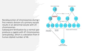 Nondisjunction of chromosomes during the
first meiotic division of a primary oocyte
results in an abnormal oocyte with 24
chromosomes.
Subsequent fertilization by a normal sperm
produces a zygote with 47 chromosomes
(aneuploidy), which is a deviation from the
human diploid number of 46.
 