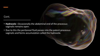 Cont.
• Hydrocele : Occasionally the abdominal end of the processus
vaginalis remains open.
• Due to this the peritoneal fluid passes into the patent processus
vaginalis and forms accumulation called the hydrocele.
 