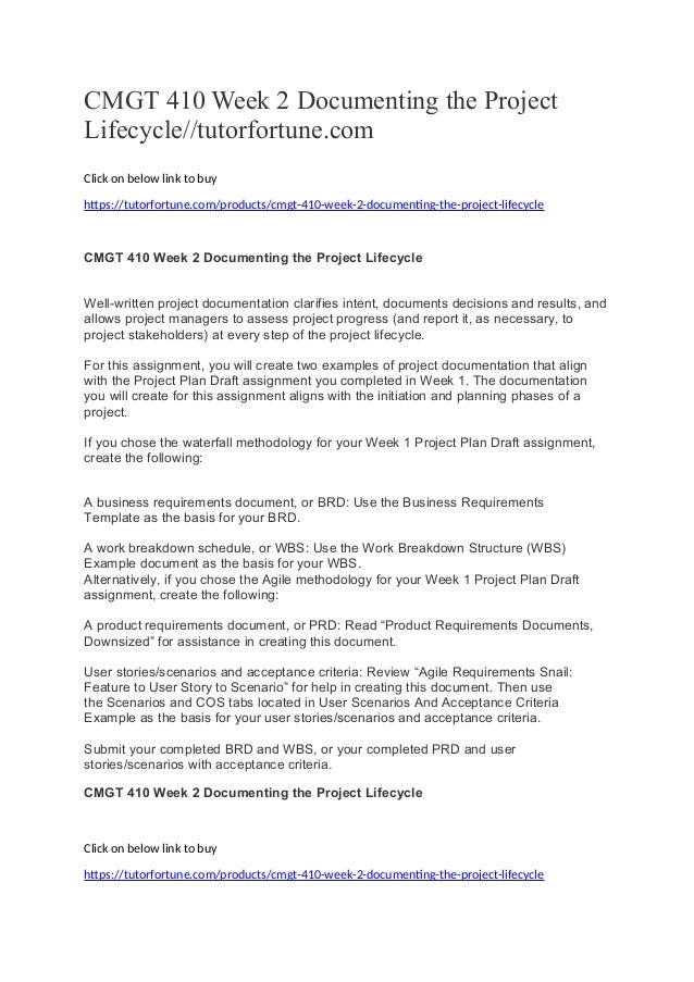 Cmgt 410 week 2 essay example 02 picture