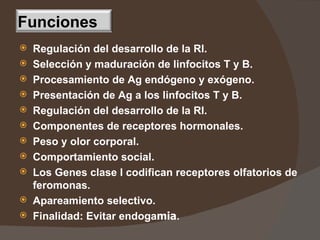 Regulación del desarrollo de la RI. Selección y maduración de linfocitos T y B. Procesamiento de Ag endógeno y exógeno. Presentación de Ag a los linfocitos T y B. Regulación del desarrollo de la RI. Componentes de receptores hormonales. Peso y olor corporal. Comportamiento social.   Los Genes clase I codifican receptores olfatorios de feromonas. Apareamiento selectivo. Finalidad: Evitar endoga mia . Funciones 