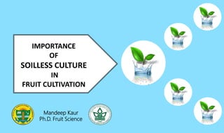 Mandeep Kaur
Ph.D. Fruit Science
IMPORTANCE
OF
SOILLESS CULTURE
IN
FRUIT CULTIVATION
 