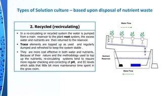 Soilless Culture | PPTX
