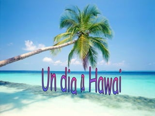 Un dia a Hawai 