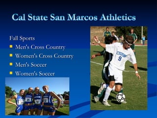 Fall Sports Men's Cross Country Women's Cross Country Men's Soccer Women's Soccer 