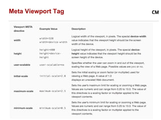 Meta Viewport Tag
 