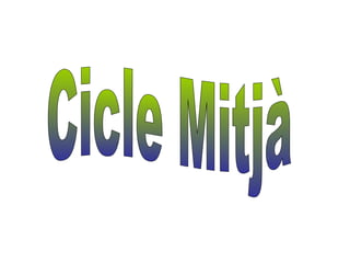 Cicle Mitjà 