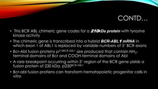 CONTD…
• This BCR ABL chimeric gene codes for a 210kDa protein with tyrosine
kinase activity
• The chimeric gene is transcribed into a hybrid BCR-ABL1 mRNA in
which exon 1 of ABL1 is replaced by variable numbers of 5’ BCR exons
• Bcr-Abl fusion proteins p210BCR-ABL1 are produced that contain NH2terminal domains of Bcr and COOH-terminal domains of Abl
• A rare breakpoint occurring within 3’ region of the BCR gene yields a
fusion protein of 230 kDa, p230BCR-ABL1
• Bcr-abl fusion protiens can transform hematopoietic progenitor cells in
vitro

 