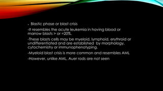 

Blastic phase or blast crisis

-It resembles the acute leukemia in having blood or
marrow blasts > or =20%.
-These blasts cells may be myeloid, lymphoid, erythroid or
undifferentiated and are established by morphology,
cytochemistry or immunophenotyping.
-Myeloid blast crisis is more common and resembles AML
-However, unlike AML, Auer rods are not seen

 