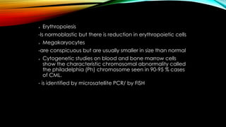 

Erythropoiesis

-Is normoblastic but there is reduction in erythropoietic cells


Megakaryocytes

-are conspicuous but are usually smaller in size than normal


Cytogenetic studies on blood and bone marrow cells
show the characteristic chromosomal abnormality called
the philadelphia (Ph) chromosome seen in 90-95 % cases
of CML.

- is identified by microsatellite PCR/ by FISH

 