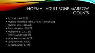 NORMAL ADULT BONE MARROW
COUNTS
• Fat /cell ratio: 50:50
• Myeloid / Erythroid ratio: 2 to 4 : 1( mean 3:1)
• Myeloid series : 30-45%
• Erythroid series : 10-15%

• Myeloblasts : 0.1- 3.5%
• Promyelocytes: 0.5-5%
• Megakaryocytes : 0.5%
• Lymphocytes : 5-20%
• Reticulocytes : 0.1-2%

 