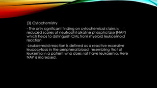 (3) Cytochemistry
- The only significant finding on cytochemical stains is
reduced scores of neutrophil alkaline phosphatase (NAP)
which helps to distinguish CML from myeloid leukaemoid
reaction
-Leukaemoid reaction is defined as a reactive excessive
leucocytosis in the peripheral blood resembling that of
leukemia in a patient who does not have leukaemia. Here
NAP is increased.

 