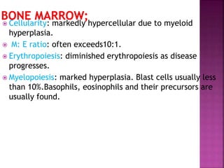  Cellularity: markedly hypercellular due to myeloid
hyperplasia.
 M: E ratio: often exceeds10:1.
 Erythropoiesis: diminished erythropoiesis as disease
progresses.
 Myelopoiesis: marked hyperplasia. Blast cells usually less
than 10%.Basophils, eosinophils and their precursors are
usually found.
 