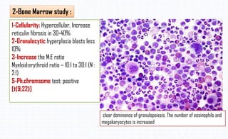 2-Bone Marrow study :
1-Cellularity: Hypercellular, Increase
reticulin fibrosis in 30-40%
2-Granulocytic hyperplasia blasts less
10%
3-Increase the M:E ratio
Myeloid:erythroid ratio – 10:1 to 30:1 (N :
2:1)
5-Ph.chromsome test: positive
[t(9;22)]
clear dominance of granulopoiesis. The number of eosinophils and
megakaryocytes is increased
 