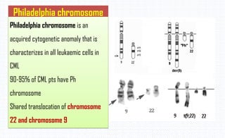 Philadelphia chromosome
Philadelphia chromosome is an
acquired cytogenetic anomaly that is
characterizes in all leukaemic cells in
CML
90-95% of CML pts have Ph
chromosome
Shared translocation of chromosome
22 and chromosome 9
 