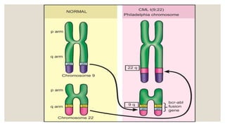 CML leukemia pathology ppt mbbs 2nd year.pptx | Free Download