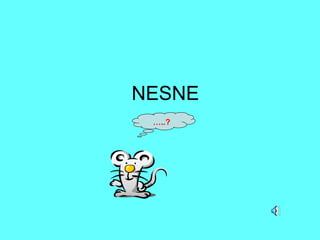 NESNE … ..? 