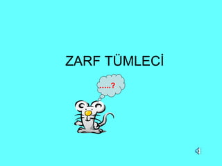 ZARF TÜMLECİ … ..? 