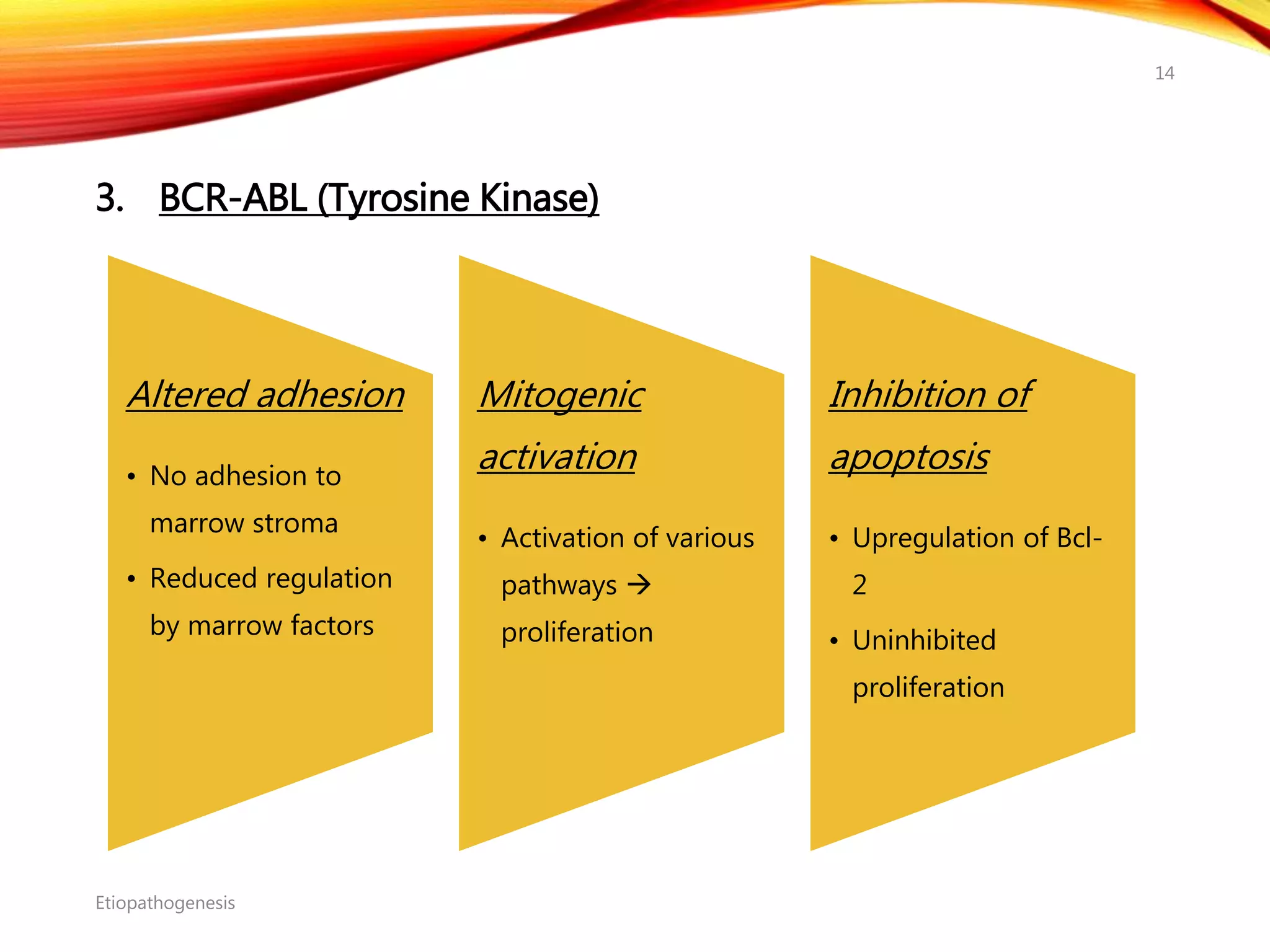 3. BCR-ABL (Tyrosine Kinase)
Etiopathogenesis
14
Altered adhesion
• No adhesion to
marrow stroma
• Reduced regulation
by marrow factors
Mitogenic
activation
• Activation of various
pathways 
proliferation
Inhibition of
apoptosis
• Upregulation of Bcl-
2
• Uninhibited
proliferation
 