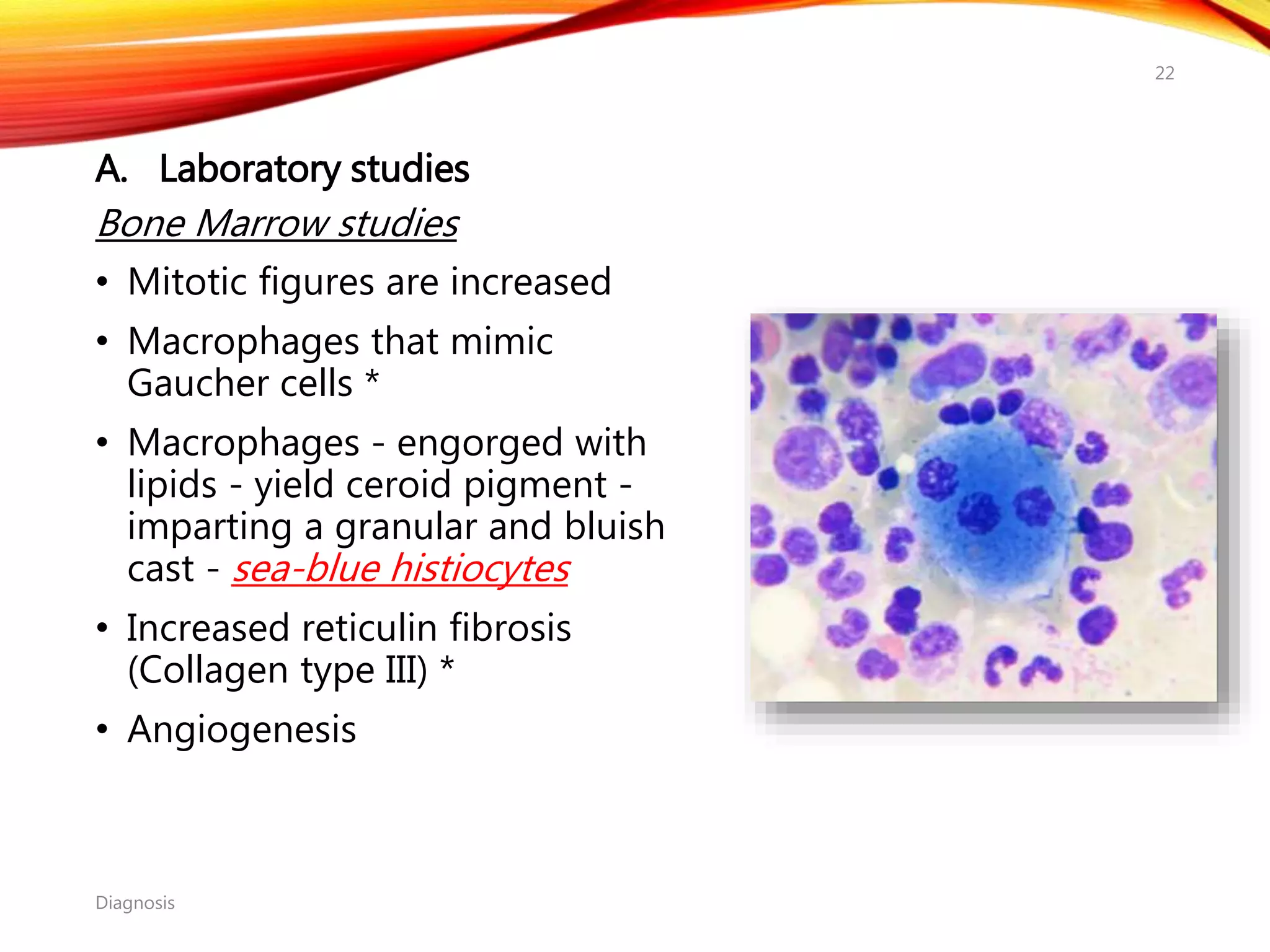A. Laboratory studies
Bone Marrow studies
• Mitotic figures are increased
• Macrophages that mimic
Gaucher cells *
• Macrophages - engorged with
lipids - yield ceroid pigment -
imparting a granular and bluish
cast - sea-blue histiocytes
• Increased reticulin fibrosis
(Collagen type III) *
• Angiogenesis
Diagnosis
22
 