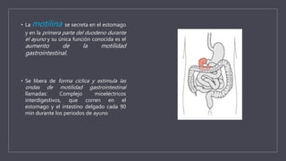 • La motilina se secreta en el estomago
y en la primera parte del duodeno durante
el ayuno y su única función conocida es el
aumento de la motilidad
gastrointestinal.
• Se libera de forma cíclica y estimula las
ondas de motilidad gastrointestinal
llamadas: Complejo mioeléctricos
interdigestivos, que corren en el
estomago y el intestino delgado cada 90
min durante los periodos de ayuno
 