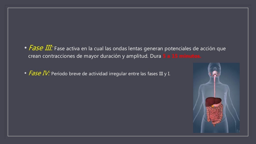 Complejo Motor Migratorio Complejo Motor Migratorio