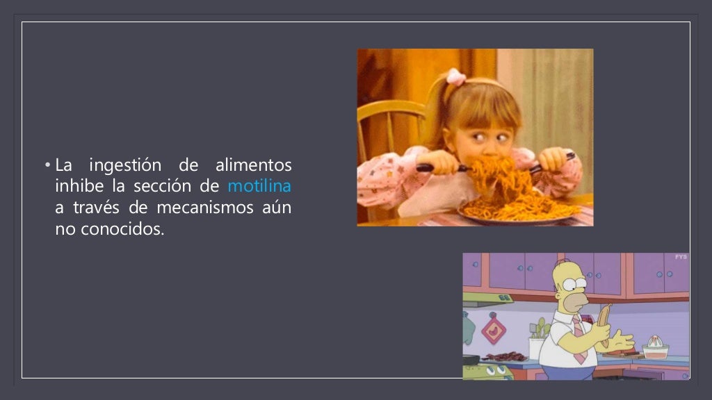 Complejo Motor Migratorio Complejo Motor Migratorio