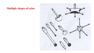 Multiple shapes of sylus
 