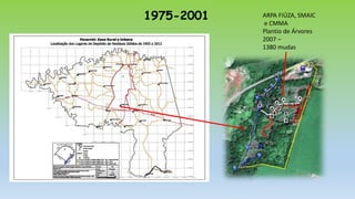 1975-2001 ARPA FIÚZA, SMAIC
e CMMA
Plantio de Árvores
2007 –
1380 mudas
 
