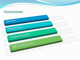 Conclusiones
 