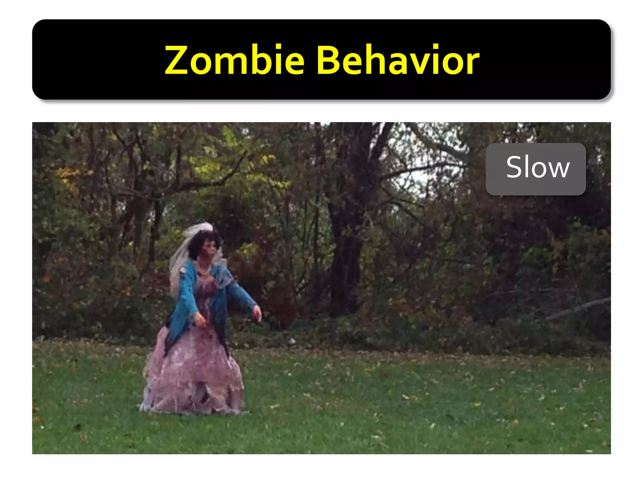 Zombie Behavior

                  Slow
 