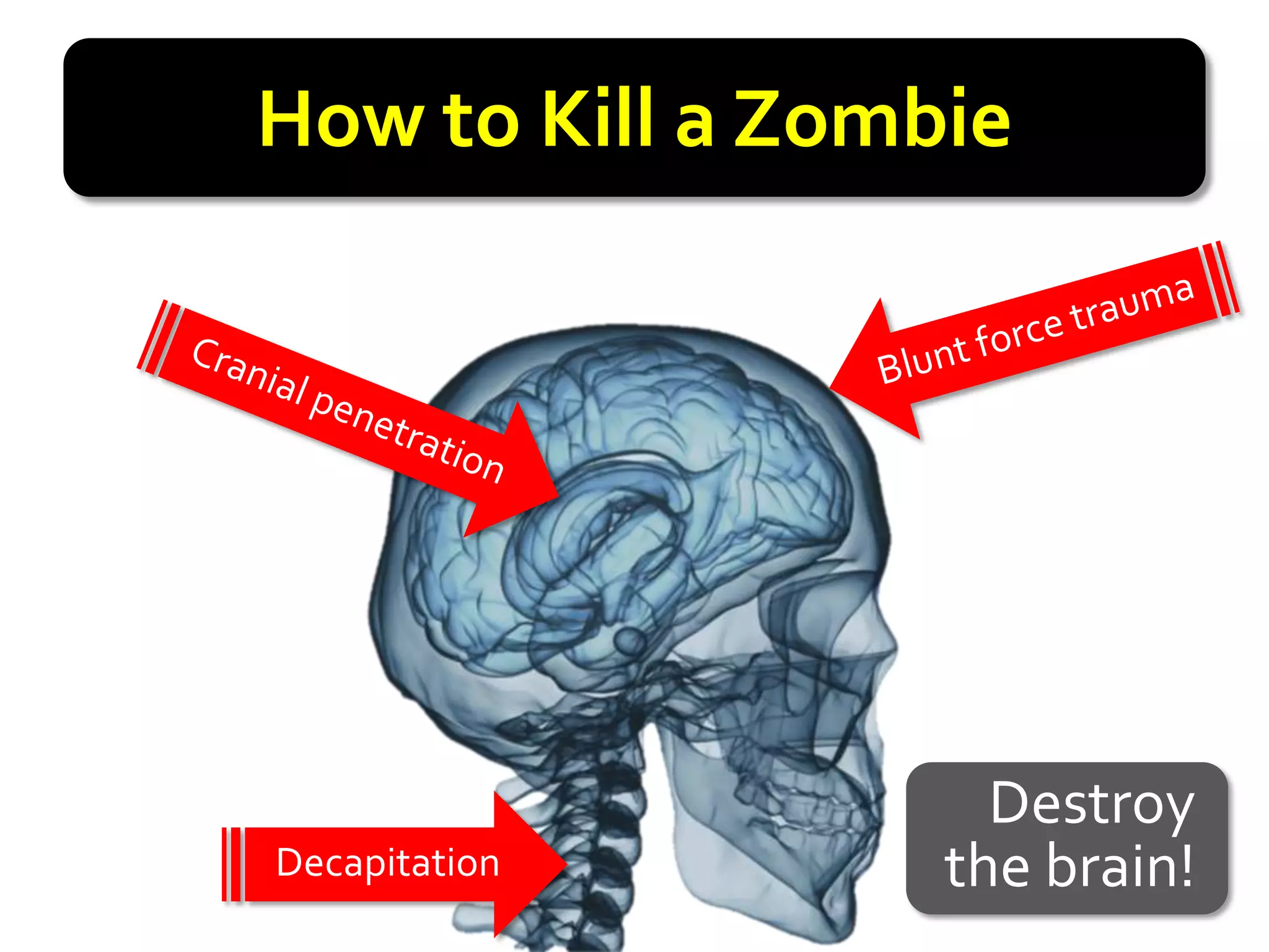How to Kill a Zombie




                    Destroy
Decapitation      the brain!
 