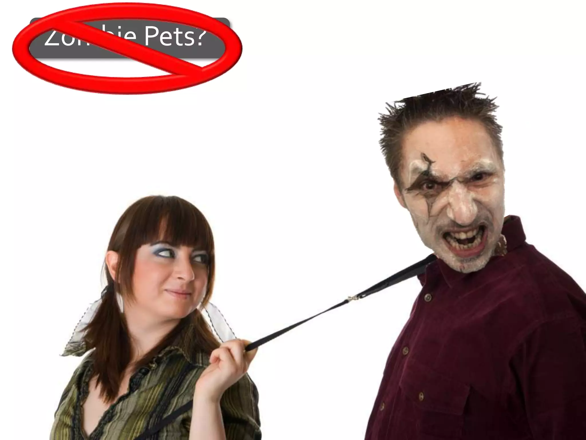 Zombie Pets?
 
