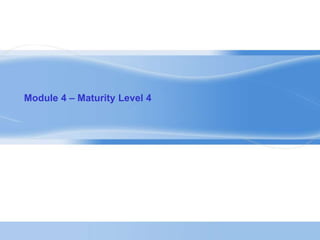 Module 4 – Maturity Level 4 
 